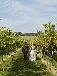 Thumbnail image for Vineyard Wedding : The Beautiful Highdown Vineyard