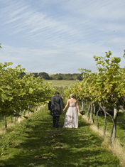 <br>
Nestled away on the southern slopes of the South Downs in Sussex lies Highdown Vineyard, a picturesque and tranquil venue offering the perfect backdrop for unique, bespoke wedding receptions.

Highdown Vineyard offers a choice of two wedding facilities; a spacious white marquee positioned in the grounds, and the beautiful barn-style winery building itself. The winery building offers full disabled access, comes complete with a bar serving delicious wine straight from the vineyard outside, and is equipped with an optional dancefloor. As the night goes on, your guests can make full use of both these facilities; those who fancy a dance can head to the winery, and others looking for somewhere that little bit quieter can take to the more peaceful marquee.
<br>
<br>
Read Highdown Vineyard`s featured post <a href=http://www.wedding-venue-secret.com/vineyard-wedding-the-beautiful-highdown-vineyard-1599>here</a>