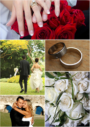 <br>

My-Wedding is a UK-based interactive website and planning resource filled with handy wedding tips to help you get started, as well as a nationwide UK wedding directory. The site also offers comprehensive wedding insurance policies for couples planning to hold their wedding ceremonies and receptions, both here in the UK and abroad.

Understanding that every couple’s budget and plans will undoubtedly vary, My-Wedding offers you the chance to create your own wedding insurance policy by specific features you would like to be covered, or the option to choose one of their existing comprehensive insurance packages.
<br>
<br>
Read My-Wedding Insurance <a href=http://www.wedding-planning-secret.com/first-class-wedding-insurance-my-wedding-1882>Featured Post</a> 